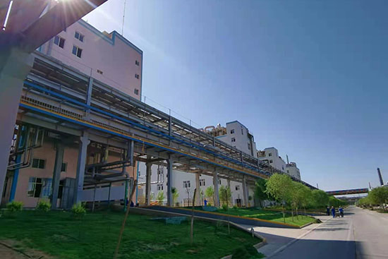 揚(yáng)農(nóng)寧夏瑞泰科技有限公司 揚(yáng)農(nóng)寧夏瑞泰科技有限公司